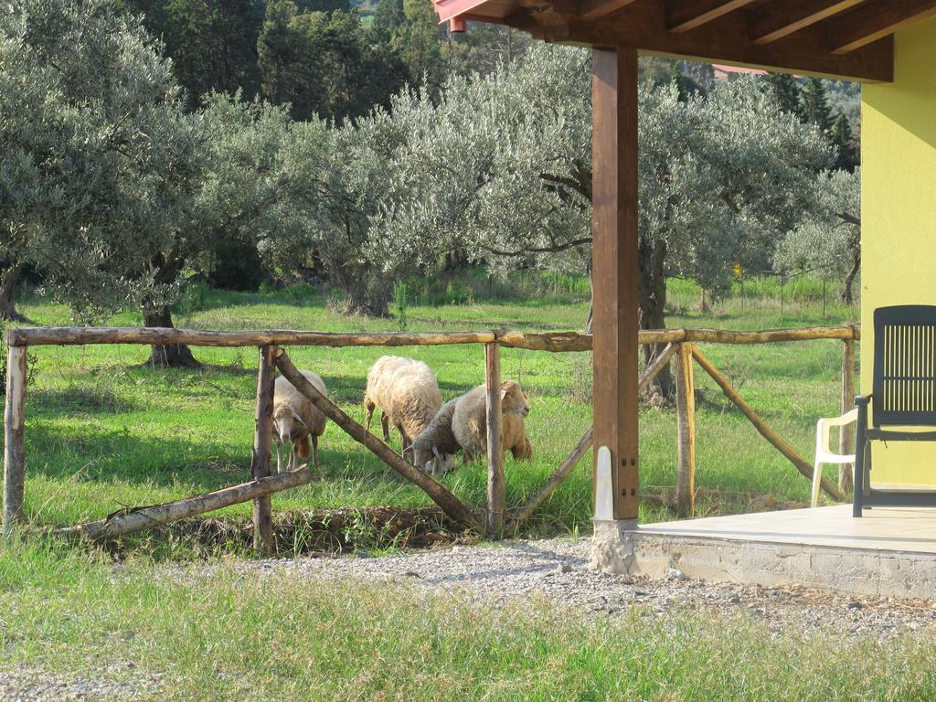 Holiday Home Stella Di Sicilia Acquedolci Extérieur photo